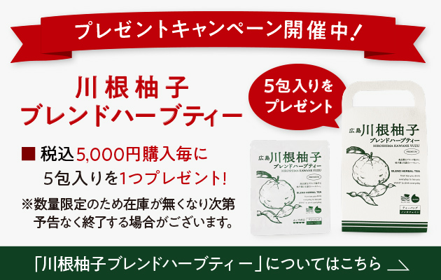 プレゼントキャンペーン開催中