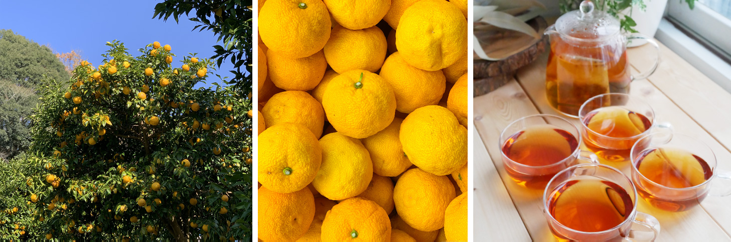 川根柚子ブレンドハーブティー イメージ