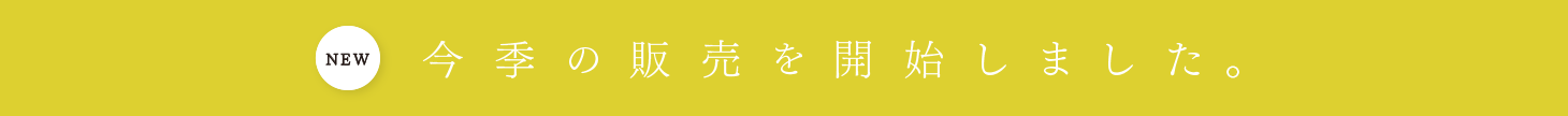 ゆずゼリー。今季の販売を開始しました。