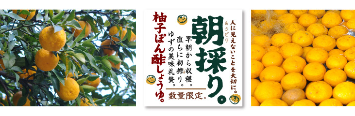 朝採り 柚子ぽん酢しょうゆ