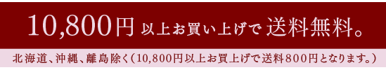 10,800円以上お買い上げでで送料無料