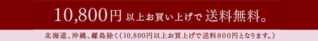 10,800円以上お買い上げでで送料無料