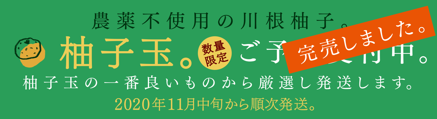 完売 数量限定 柚子玉 約1kg 全国一律送料込